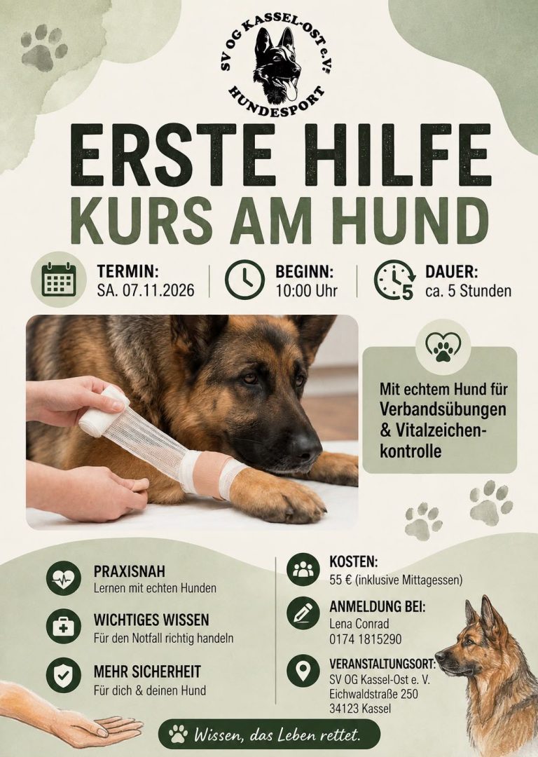 Plakat Erste-Hilfe-Kurs am Hund Das Bild verweist auf einen Erste-Hilfe-Kurs am Hund, der am 7.11.2026 um 10 Uhr statt findet.